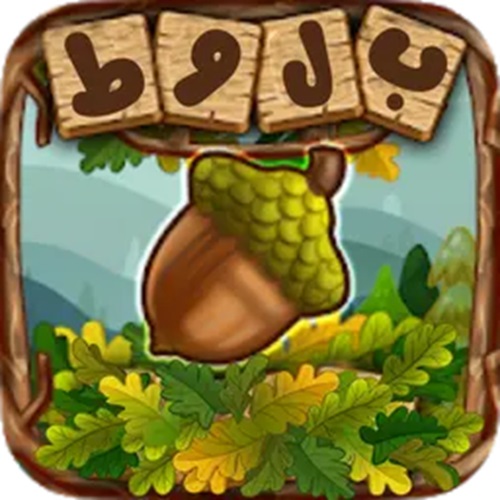 جواب بازی بلوط از مرحله اول تا آخر