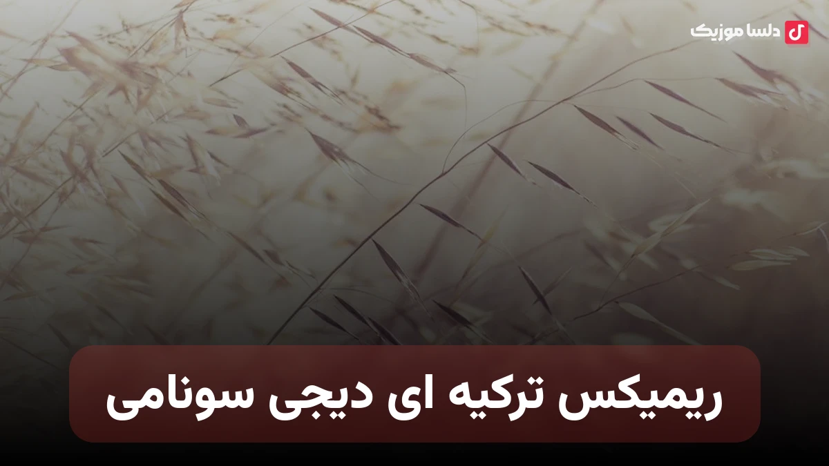 ریمیکس ترکیه ای دیجی سونامی