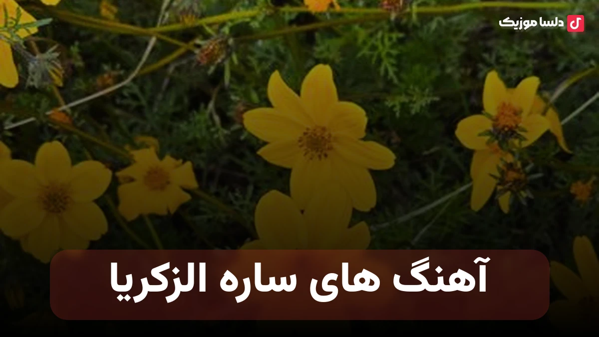 آهنگ های ساره الزکریا