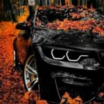 دانلود آهنگ منم عکساشو پاره کردم از شهره