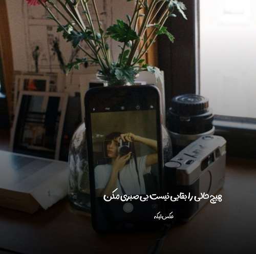 لفظات همه یالاندی