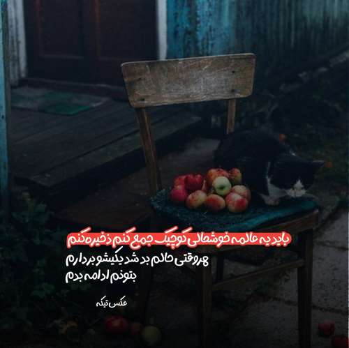 این سرزمین جای محبت نیه