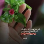 دانلود آهنگ کردی همه باورامو عوض