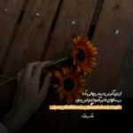 دانلود آهنگ میثم ابراهیمی میچینم واسه تو همه چیو قشنگ