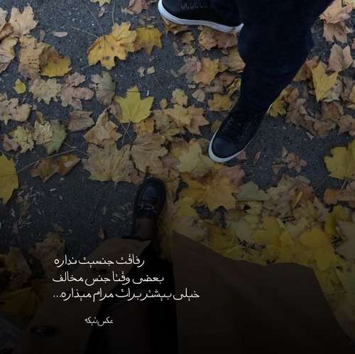 دیدی ای تنها امیدم