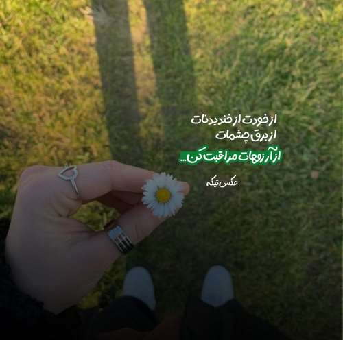 علی نواب برای عاشقی