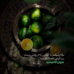 دانلود آهنگ امین وارسته تنهایی