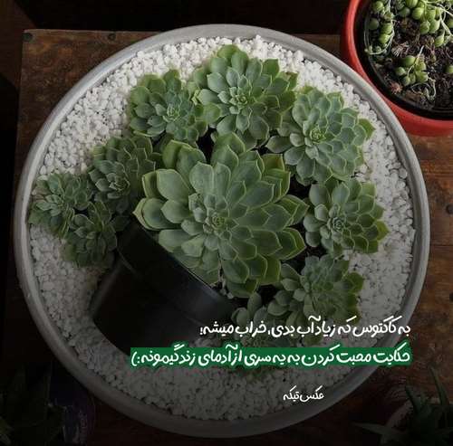 خیلی وقته که دلم تنگ نمیشه برای تو