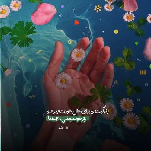 مثل یه پرنده که همه پراشو چیدن