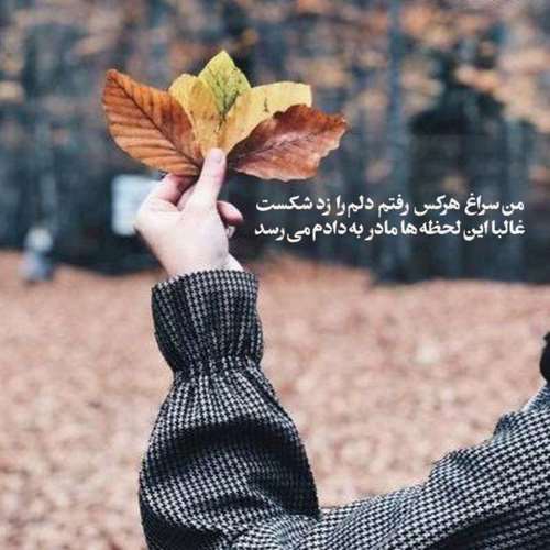 عروسی تو گروه سیلوئت