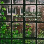 دانلود آهنگ روزای روشن خداحافظ از هایده