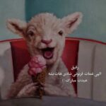 دانلود آهنگ اسمتو رو برگای گلا نوشتم از شاهین زین العابدین زاده دانلود آهنگ اسمتو رو برگای گلا نوشتم از شاهین زین العابدین زاده