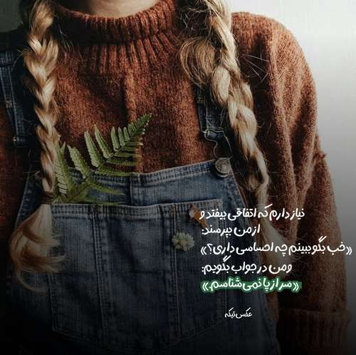 ای بی پلنه آی بری باخ بری باخ