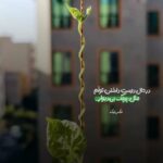 دانلود آهنگ جنگی بزنم مجید احمدی