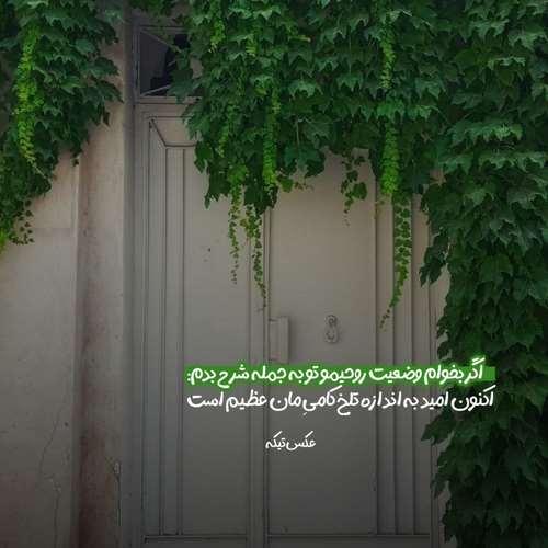 خواهم که شبی از غم تو در دل میخانه روم