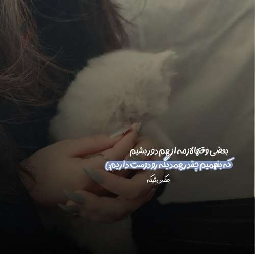 محمدرضا گلزار نشد آخرم