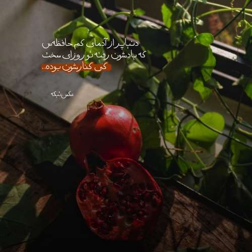 نیما نیموش و رضا ممو و سانبوی دستای خالی