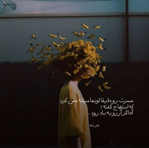 دشمنو هزار هزار مه تک تنیا