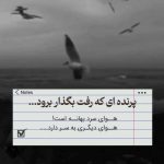 دانلود آهنگ تولد دی ماهی دختر از