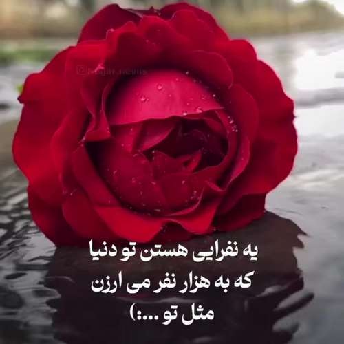 مشکا به سر میمونه دی جی مهدی