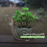 دانلود آهنگ عشق یکسره از سوسن