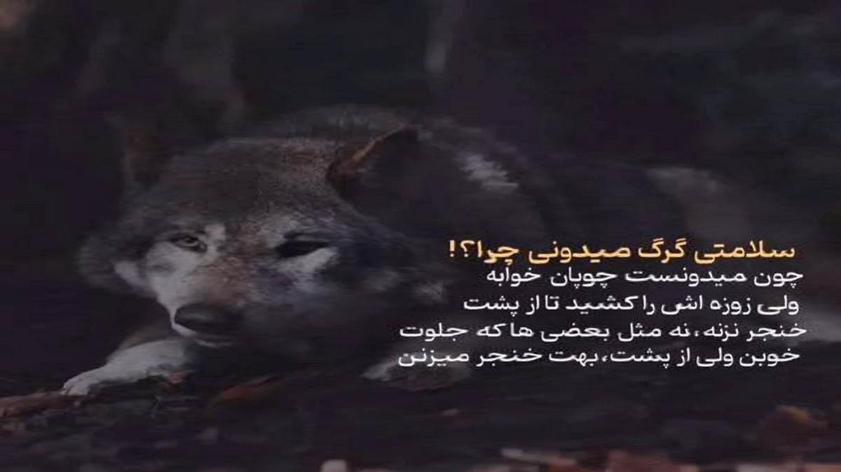 عه ای بدتر نمیبینی منه تو فقر و تنهایی از علی احمدیانی