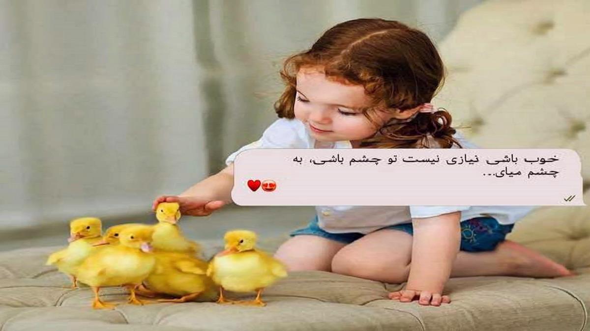 کاش از جلو چشمام قیافت میرفت نداری لیاقت