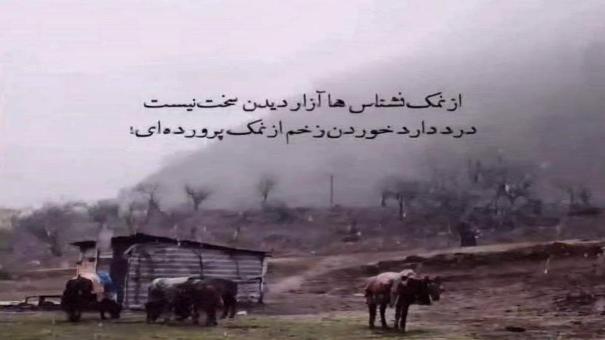 نگو دروغه مگه کوری نمیبینی سفید شده از محمد محمدی