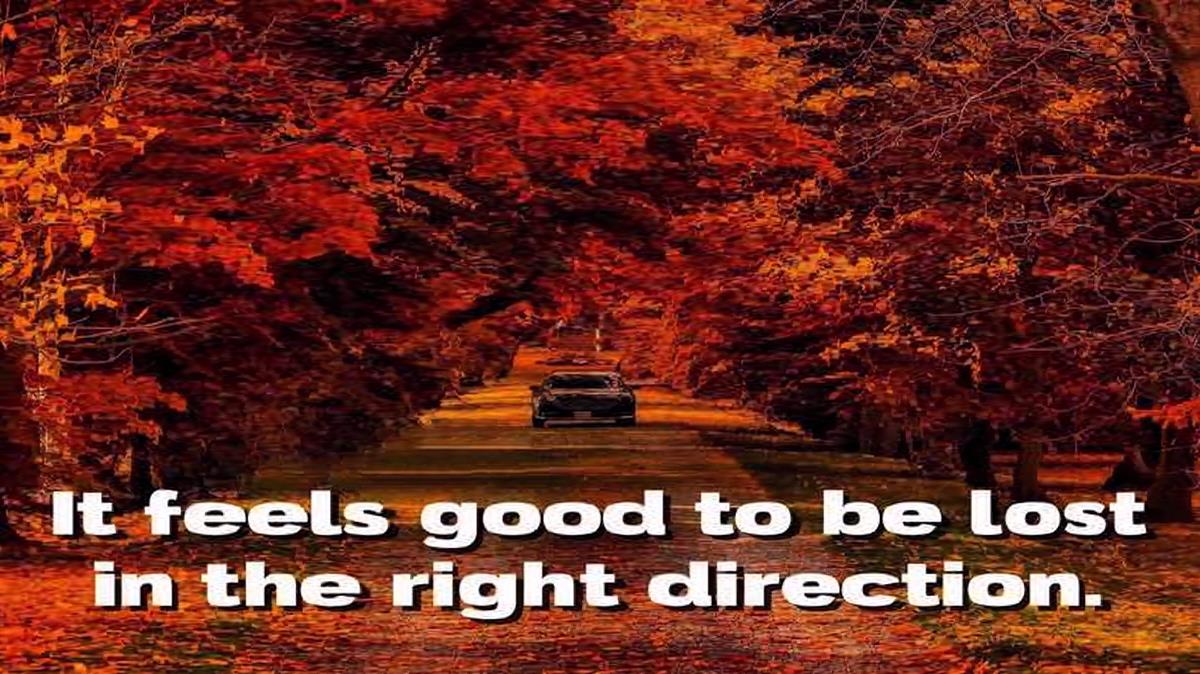 گوشی از شاهین بنان