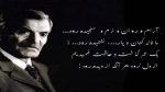 دانلود آهنگ تو اون کوه بلندی که سر تا پا غروره از گوگوش