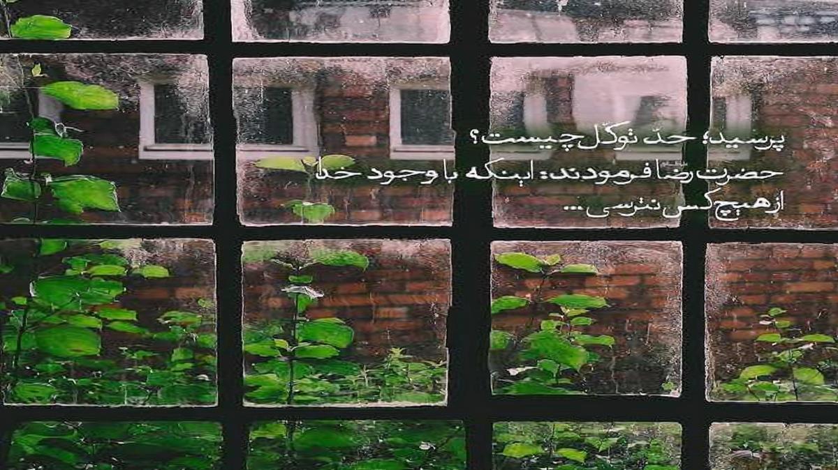 دانلود آهنگ میترسم یه روزی برسه که اونو نبینم بمیرم تنها از مرتضی پاشایی