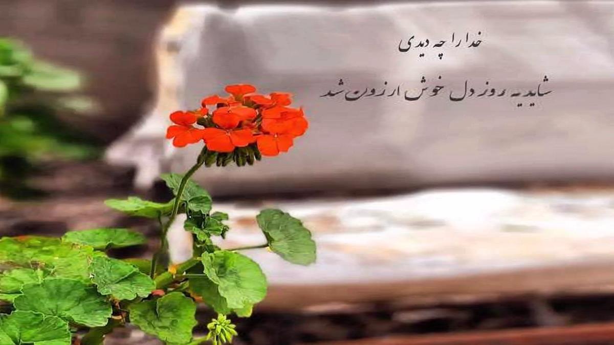 دانلود آهنگ دل به دام اون زلفای سیات بنده از داوود بهبودی