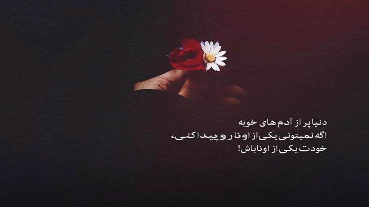 قلبم بودی شدی غریبه از علیرضا سالمی