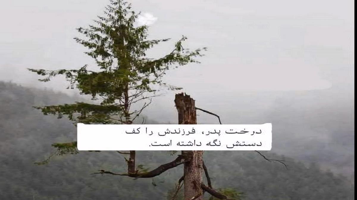 دانلود آهنگ بزا بره از امیر لیام