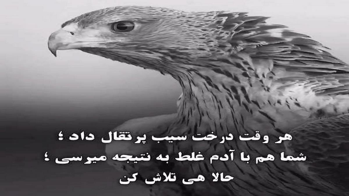 دانلود آهنگ اویشن خیاله ولی توامد چت وارانم از آرمین برمایه