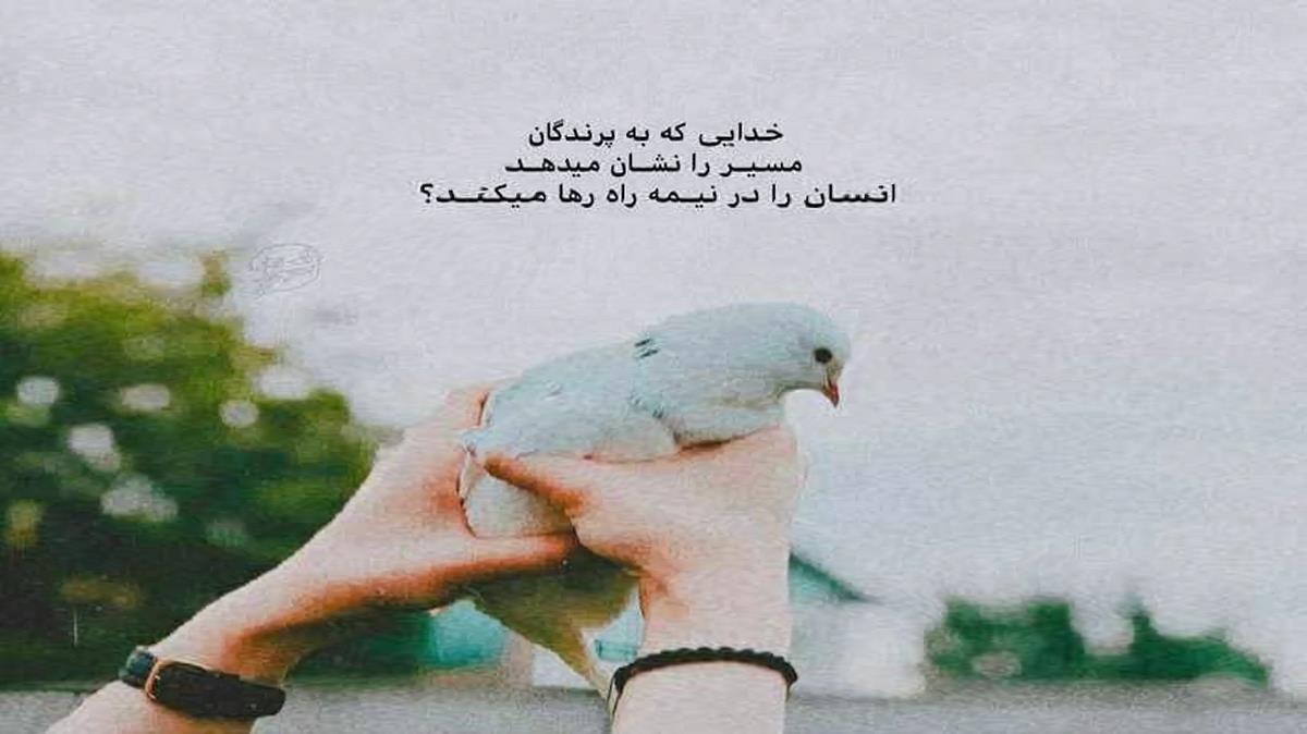 دلتو زدمو دل بریدی از من اشکامو دیدی با صدای دختر