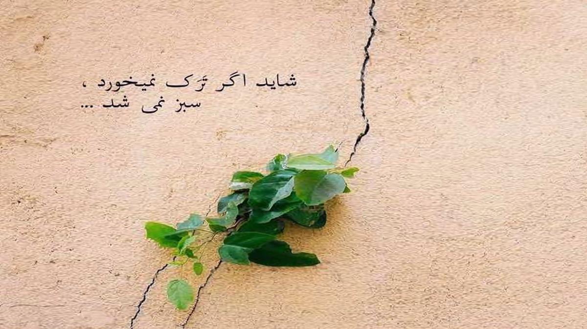 دانلود آهنگ ونام زندان نیم ولی خو اسیرم از فرهاد فرهادی