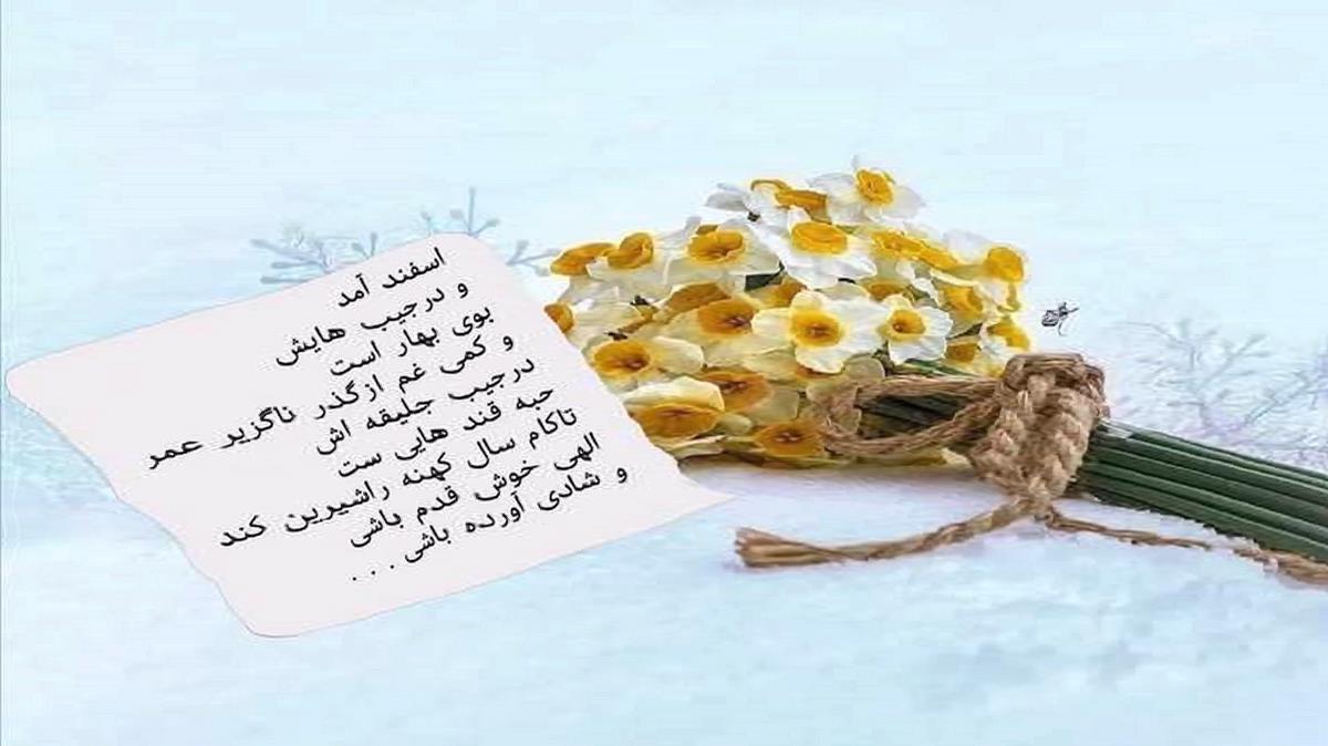 حمیدرضا بابایی تراپیست
