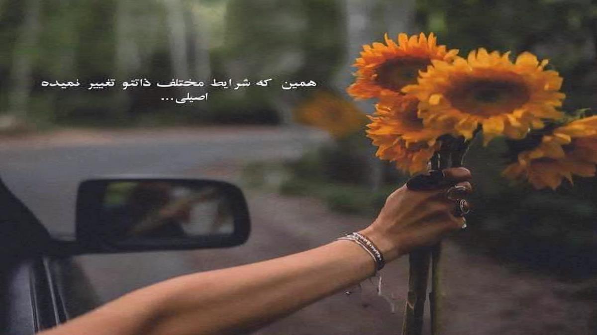 دانلود آهنگ تو غریبه نیستی تو ناموسمی از ساسان کاکاوندی