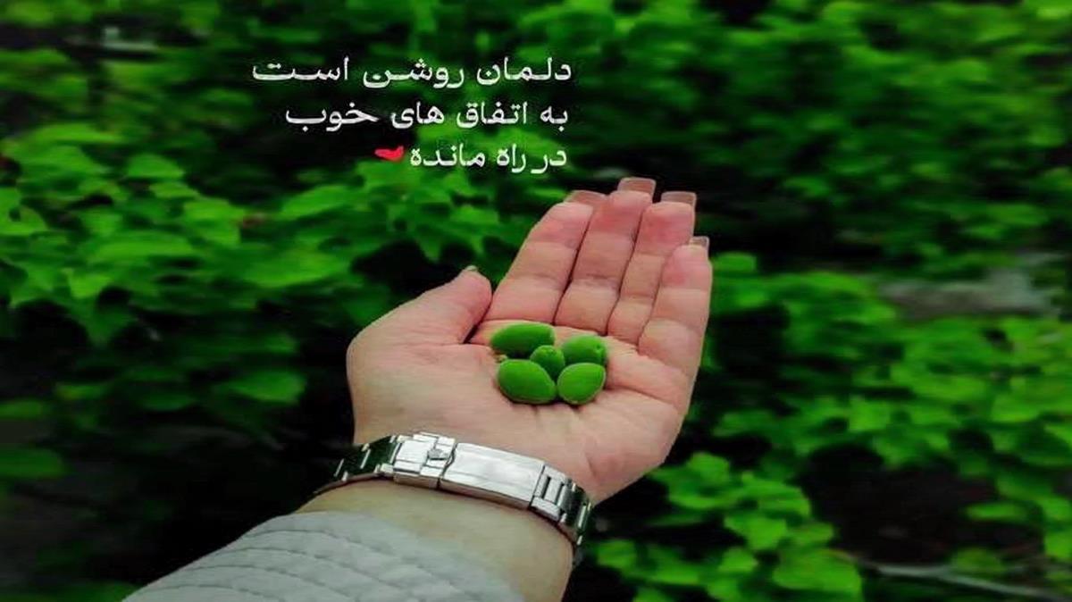 شهاب فالجی به نام نبودنت به خرج دلم نمیره دیه چشات برا دردم