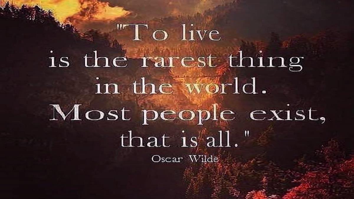 دوباره زده به سرم فکر پرواز واسه ماهیا آکواریوم