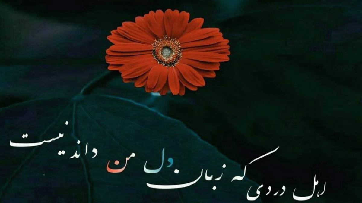 زیر تیغ از آرمین برمایه