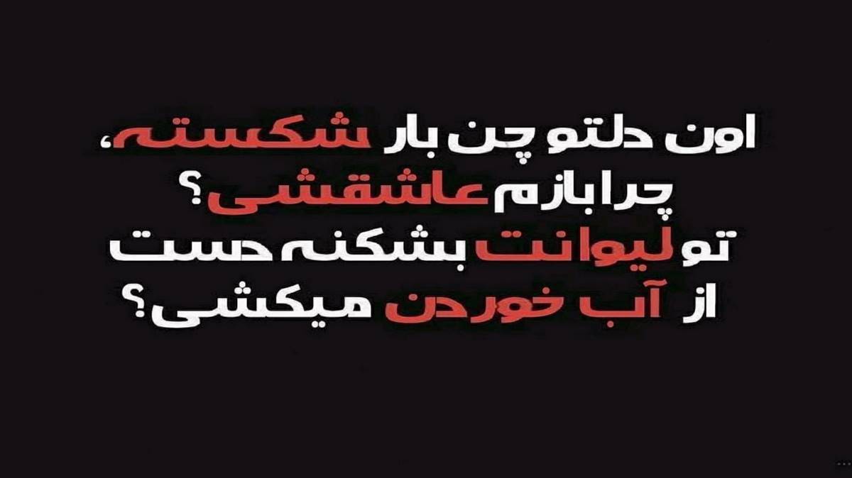 بهت حواسم بود بود حواسم لاشخورا نماسن بهت