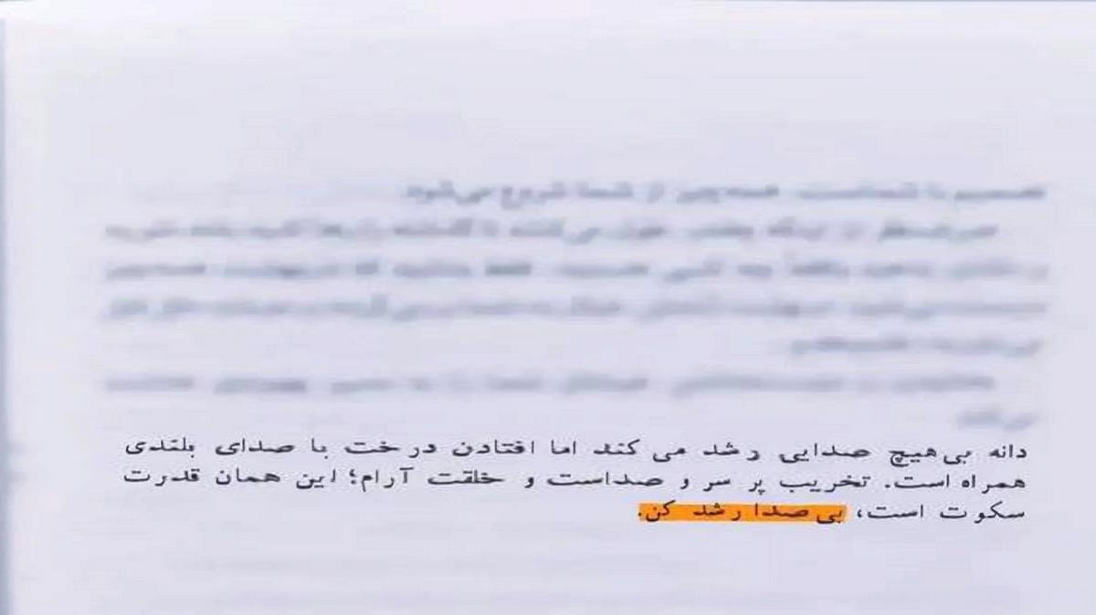 کیجا نوشهری از مجید احمدی