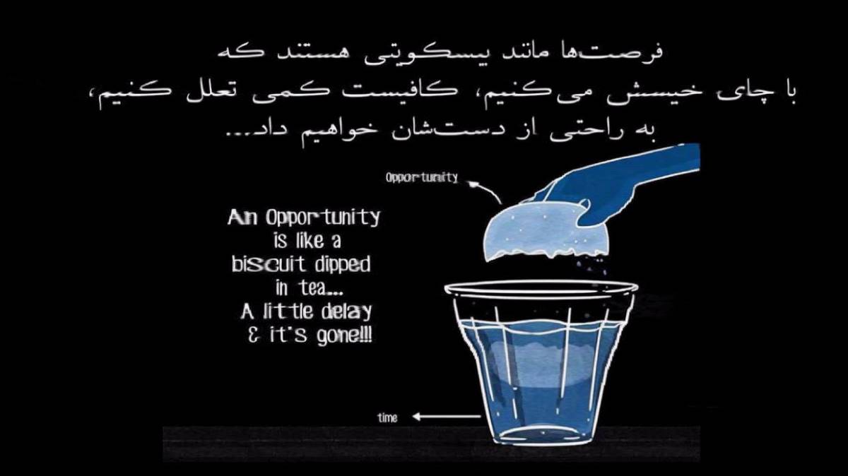 برو دلبر خدا پشت و پناهت از رضا کرمی تارا
