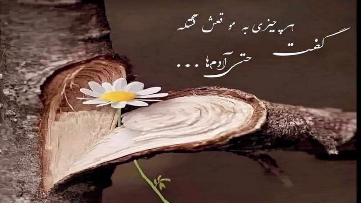 رضا رادین به نام برگرد