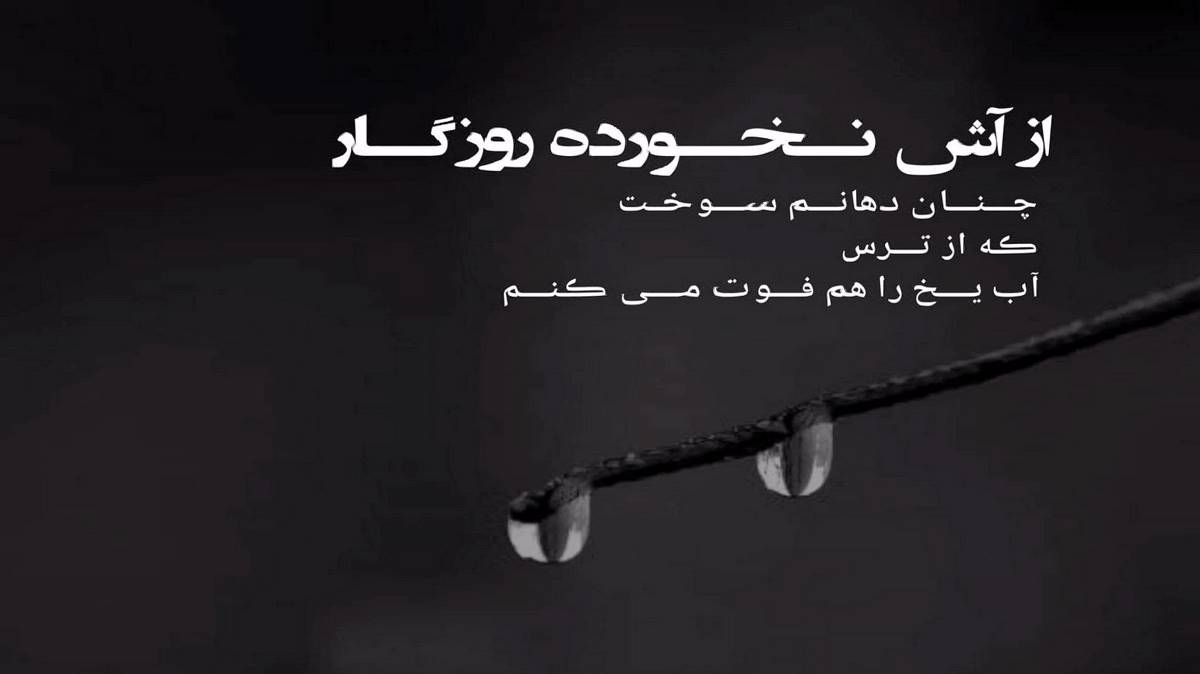 خدا سر شاهده دلم اراد تنگه از رضا کرمی تارا