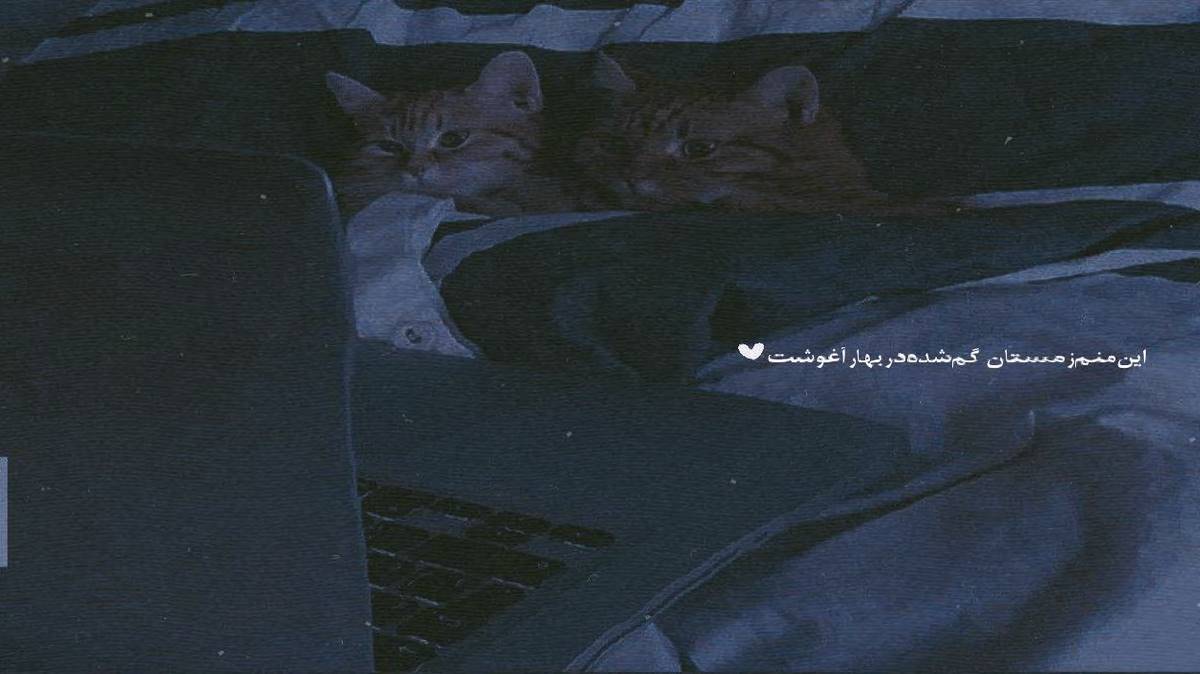 دانلود آهنگ هر کوچه به کوچه هر خونه به خونه از هایده