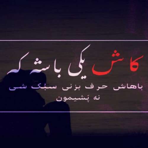 دانلود آهنگ ترکی آلیم آلیم سنی آناننان آلیم پوریا اصلانی