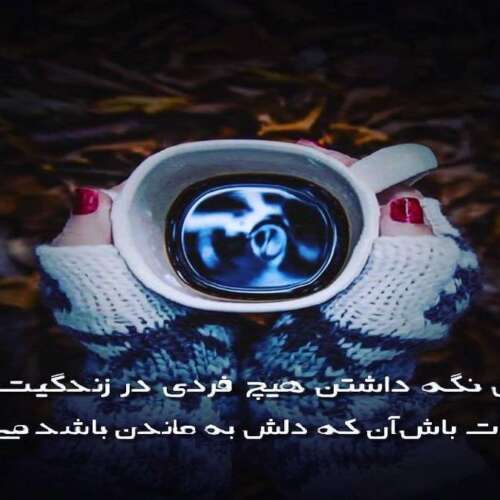 دانلود آهنگ دنیای دیوانه دیوانه خارجی جدید شگی